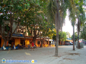 Palmeras en calle principal. 