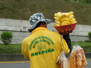 Vendedor de piña en Cerritos. 