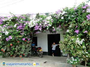 Residencia decorada con jardín. 