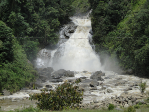 VN