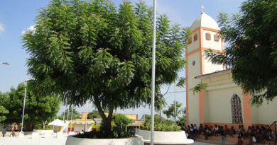 Centro del pueblo.