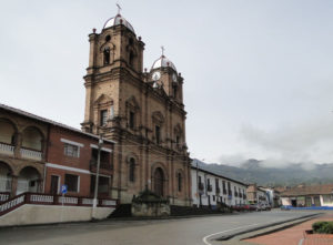 Mongua