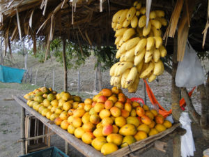 Frutas