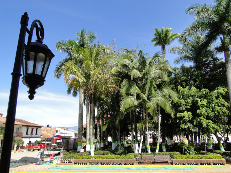 Parque central. 