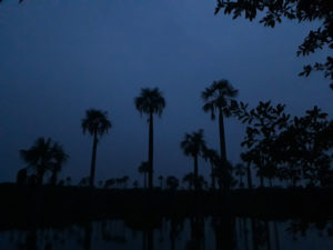 Amanecer.