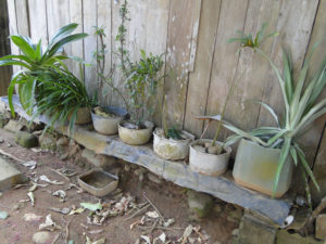 Jardineras.
