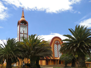 Palmeras.