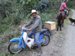 Caballo.