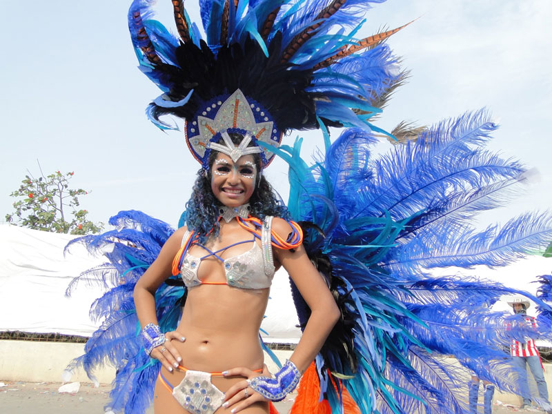 Plumas. 