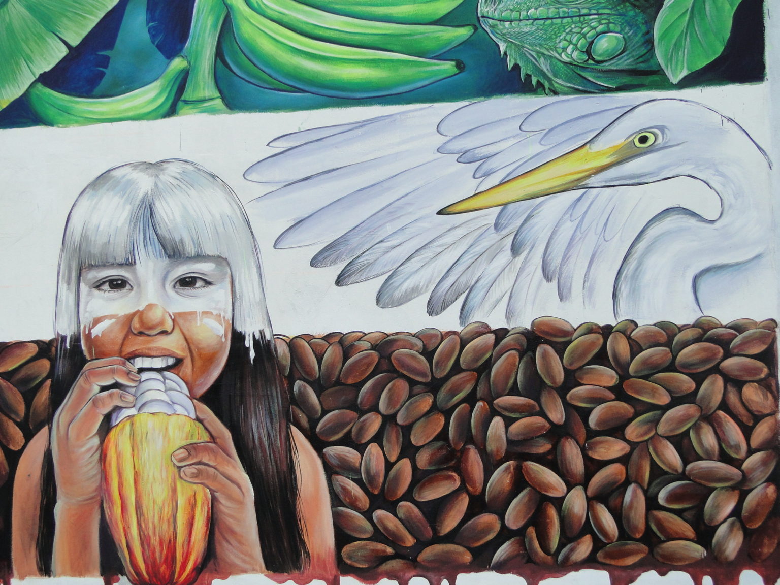 Arauquita, la capital cacaotera del departamento de Arauca.