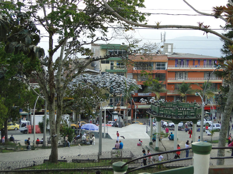 Parque. 