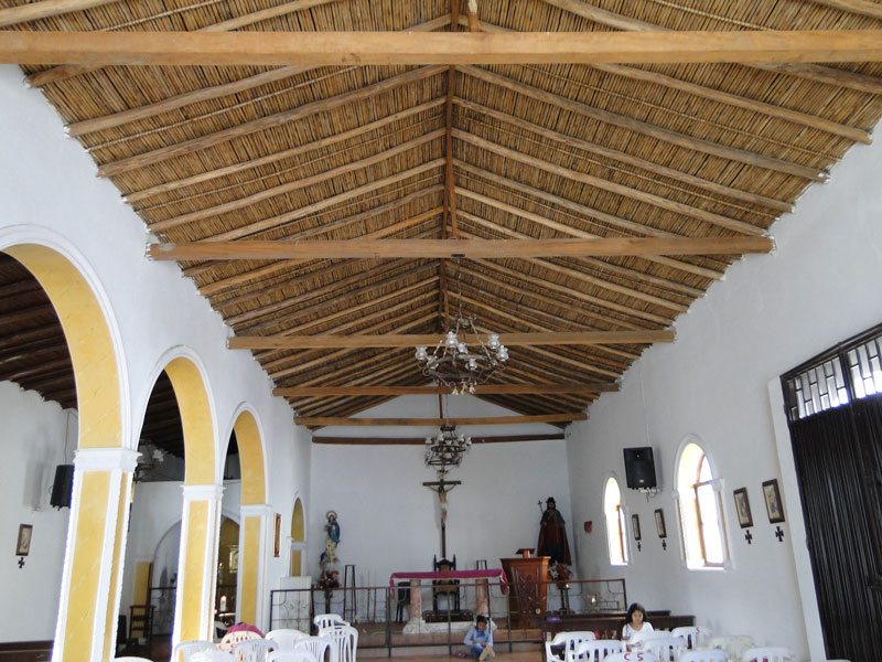 Caña-brava.