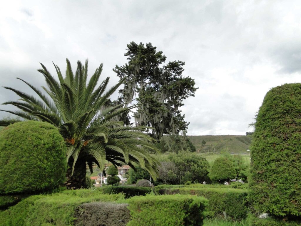 Parque. 