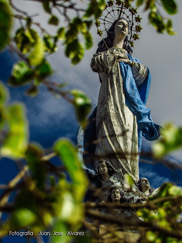 Inmaculada. 