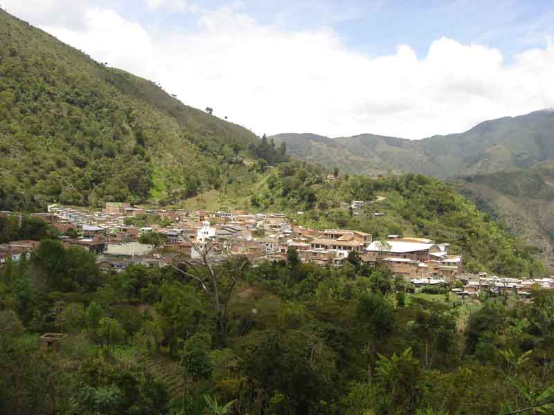 Pano.