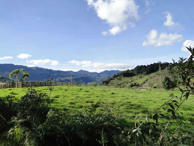 Paisaje. 