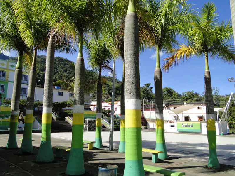 Palmas. 