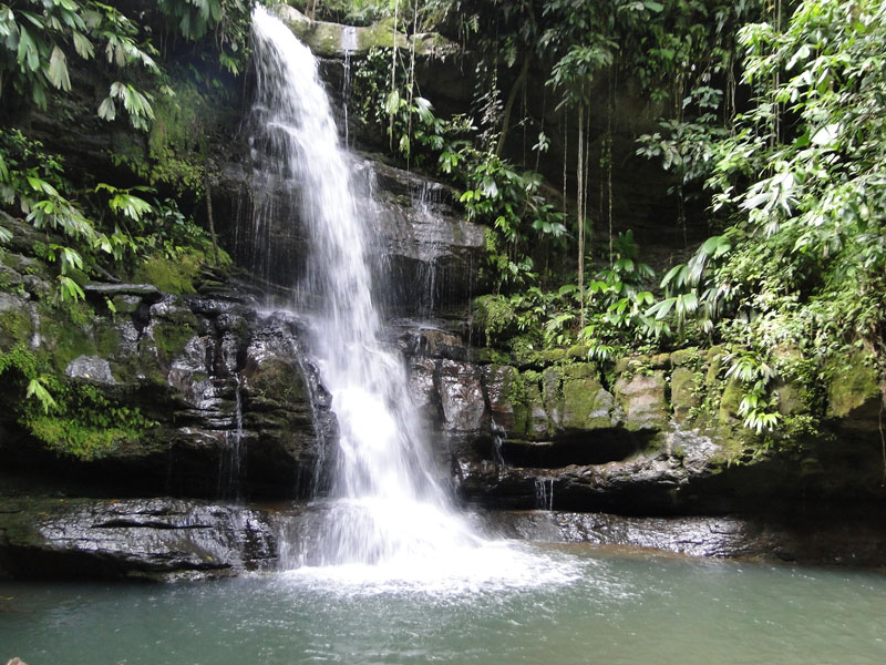 Cascada.