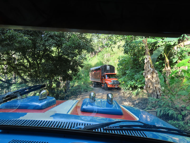 Camión.