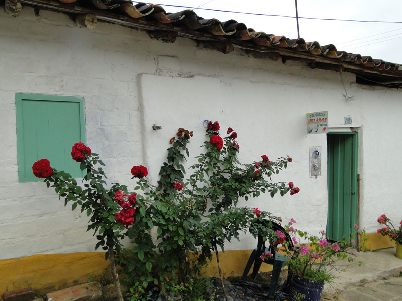 Jardín.