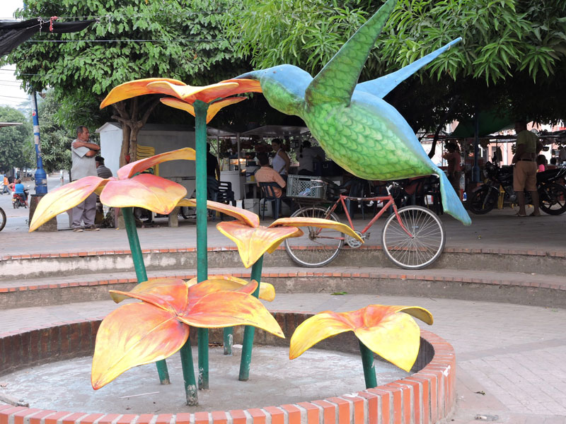 Colibrí. 