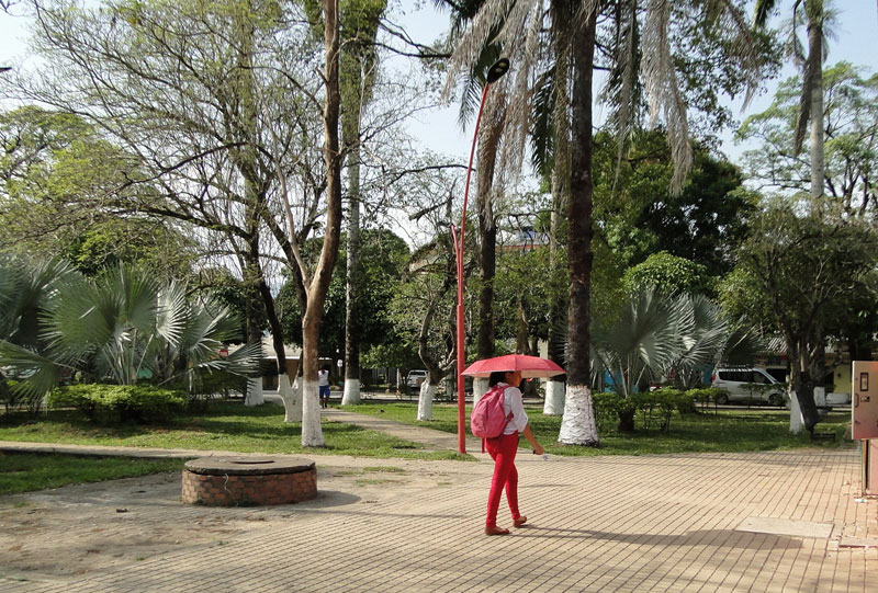 Parque. 