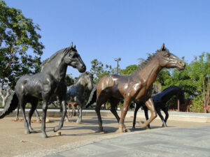 Caballos.