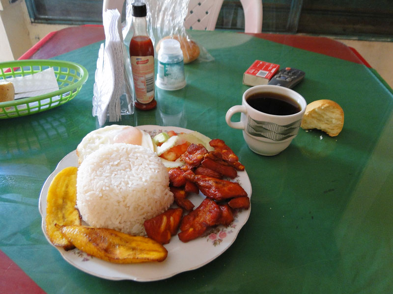 Costillas. 