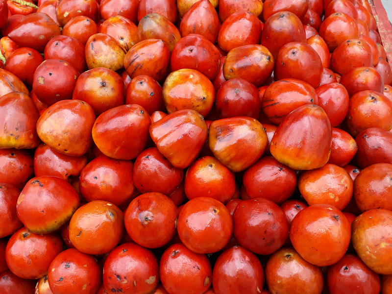 Frutos. 