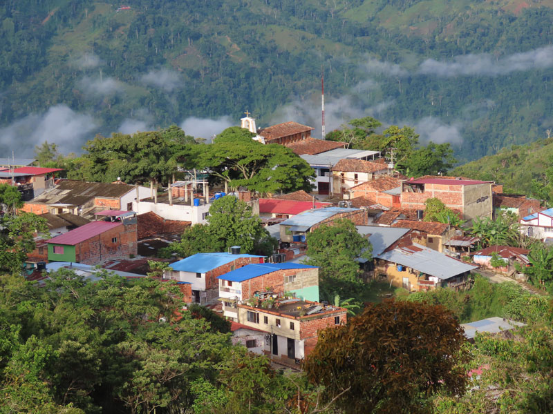 Panorámica. 