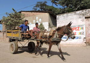 Coche.