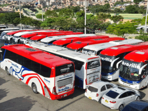 Buses.