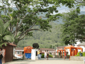 Plaza.