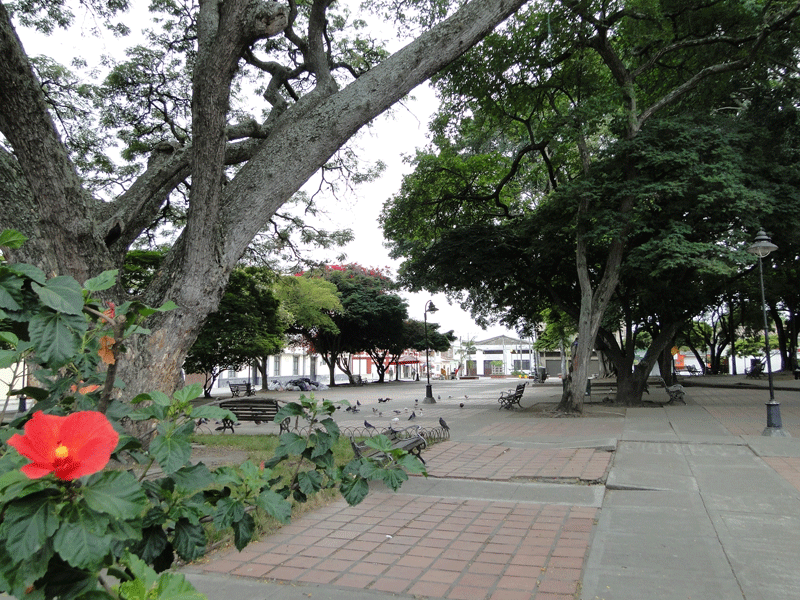 Plaza. 