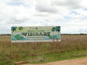 Llanura.