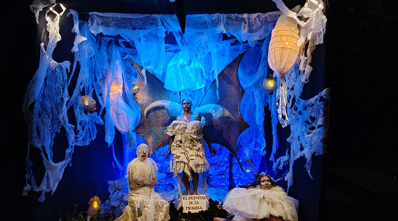 Galeras (Sucre) ‘Cuadros Vivos’ 2025 Metamorfosis